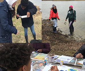 https://marygroveconservancy.org/wp-content/uploads/aie.jpg